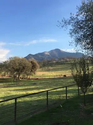 a field with a fence and horses in the distance at Cozy Farm House with River access in Three Rivers