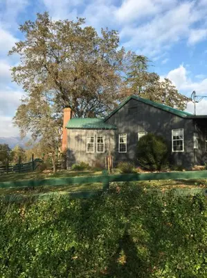 an old house with a tree in front of it at Cozy Farm House with River access in Three Rivers