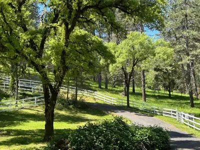 a white fence in a field with a tree and a path at Gold Country Serenity! 45 Minutes to Powder! in Grass Valley