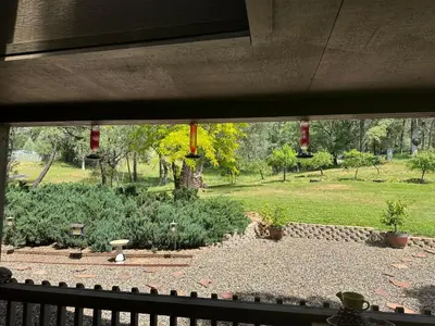 a view of a garden from a window at Gold Country Serenity! 45 Minutes to Powder! in Grass Valley