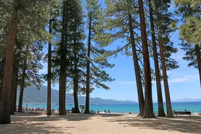 a beach with trees and the ocean in the background at The Treetop Retreat in Incline Village