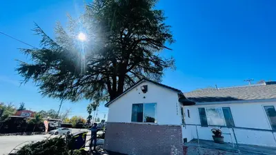 a tree in front of a white house at Rodeway Inn Jackson in Jackson