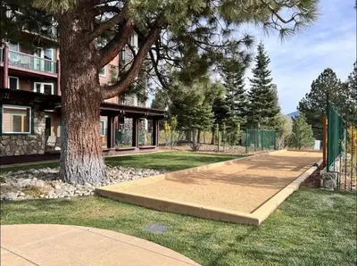 a tree in a yard next to a building at Juniper Springs Lodge 437 in Mammoth Lakes
