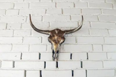 a bull skull hanging on a brick wall at 16 mi to Yosemite-1 mi to Oakhurst-Anthro Decor in Oakhurst
