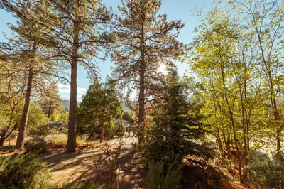 a path through the trees in a park at 16 mi to Yosemite - Rustic Studio - Hiking Nearby in Oakhurst