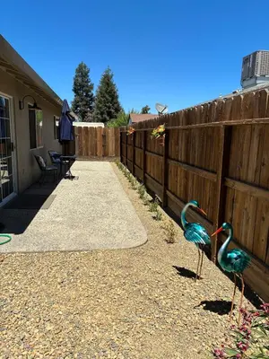 two birds standing next to a fence at Turlocks Little Palace in Turlock