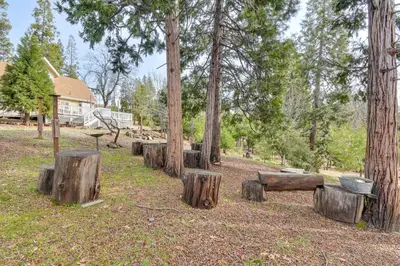 a group of logs sitting on the ground next to trees at Deck and Wooded Views 5-Acre Auberry Retreat! in Auberry