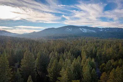 an aerial view of a forest of trees and mountains at Cozy Tahoma Family Cabin in the Pines Sleeps 6 Pets in Tahoma