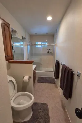 a bathroom with a shower and a toilet and a tub at Chamberland retreat-Hot Tub, Pool Table, Movie & Ski in Homewood