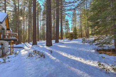a snow covered yard with trees and a house at Paradise on Pioneer - New 6 Bedroom w Pool Table in South Lake Tahoe