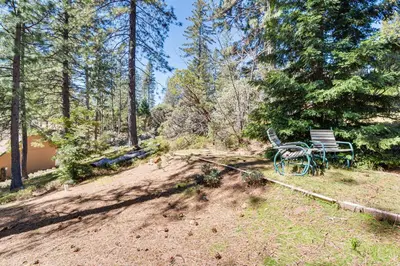 a park bench sitting in the middle of a forest at Peaceful Escape in the Pines Arnold Cabin with Deck in Arnold