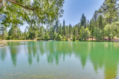 a large green lake with trees in the background at Peaceful Escape in the Pines Arnold Cabin with Deck in Arnold