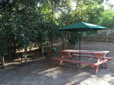 a picnic table with a green umbrella on it at Beautiful house by the river and the villager in Fair Oaks