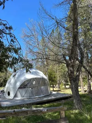 a tent sitting on a table next to a tree at Cozy Nature-Filled Home with Garden & Night Sky Views Near Yosemite Tioga Pass, Groveland CA in Groveland