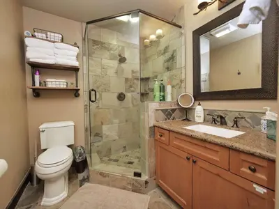 a bathroom with a shower and a toilet and a sink at Kirkwood Mountainside Cabin Views Walk to Lifts in Kirkwood