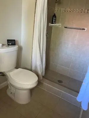 a bathroom with a toilet and a shower at Tranquil 1BR Haven Peaceful Stay in Prime Clovis in Clovis