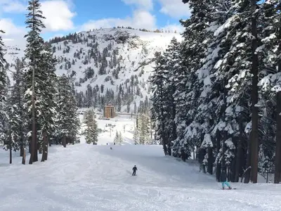 a person skiing down a snow covered slope with trees at Ski in out King bed Suite Mountain View in Kirkwood