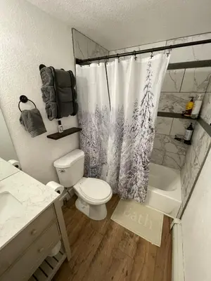a bathroom with a toilet and a shower curtain at Sun Meadows Cozy Kirkwood Ski In out Studio in Kirkwood