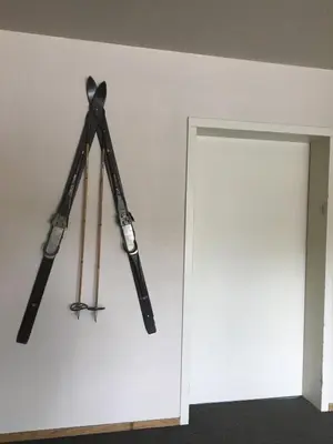 two bats hanging on a wall next to a door at Sun Meadows Cozy Kirkwood Ski In out Studio in Kirkwood