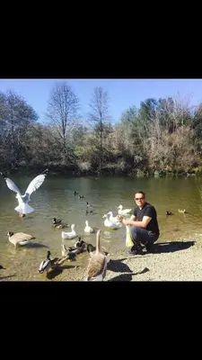 a man feeding a group of ducks and birds at Gorgeous cottage in fair oaks village in Fair Oaks