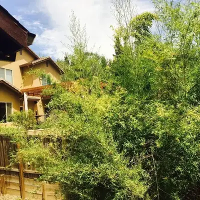 Gorgeous cottage in fair oaks village