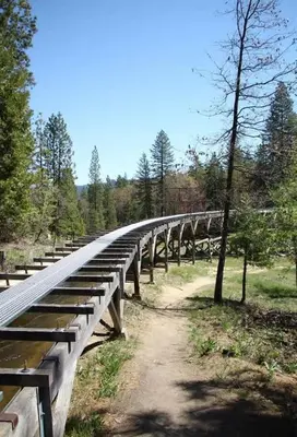 a wooden bridge in the middle of a forest at The Cozy Knotty Pine Enchantment Retreat in Long Barn
