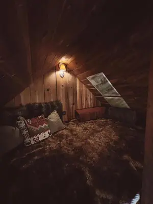 a living room with a couch in a wooden room at Campo Carnelian in Carnelian Bay