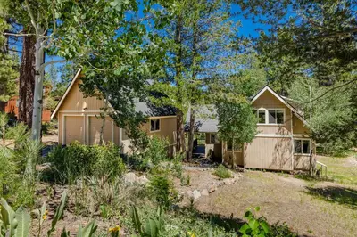 a house in the woods with a yard at Alder Creek Paradise Tree-lined Cabin Stay for 7 in Truckee