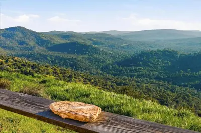a rock sitting on a wooden bench overlooking a valley at Incredible View Near Yosemite, Spacious 4BR House! in Coarsegold