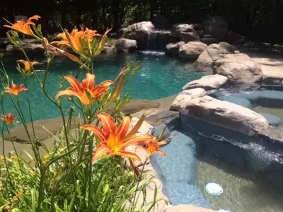 a pool with a waterfall and flowers in a garden at Lazy Z Resort in Twain Harte