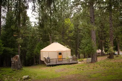 a yurt in the middle of a forest at Yosemite Lakes Hillside Yurt 1 in Harden Flat