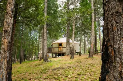 a yurt in the middle of a forest with trees at Yosemite Lakes Hillside Yurt 1 in Harden Flat