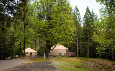 a building in the middle of a forest at Yosemite Lakes Hillside Yurt 14 in Harden Flat