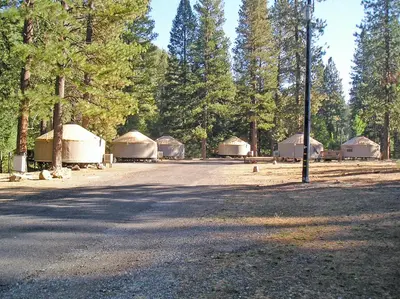 a group of tents in a field with trees at Yosemite Lakes Meadow Yurt 15 in Harden Flat