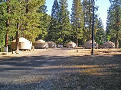 a group of tents in a field with trees at Yosemite Lakes Wheelchair Accessible Meadow Yurt 16 in Harden Flat