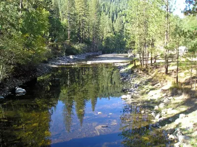 a river in the middle of a forest at Yosemite Lakes River Yurt 22 in Harden Flat