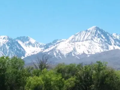a snow covered mountain with trees in the foreground at Starlight Motel in Big Pine