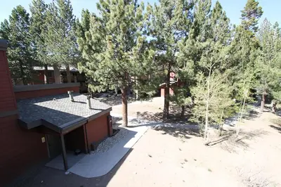 a view of a yard with trees and a building at Mammoth Reservations in Mammoth Lakes