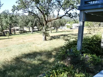 a yard with a tree in a field at Charming Downstairs Unit in Oakhurst