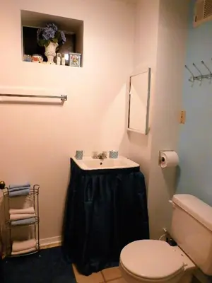 a bathroom with a sink and a toilet at Charming Downstairs Unit in Oakhurst