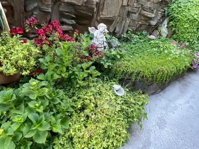 a garden of flowers and plants with a statue at Gunn House Hotel in Sonora