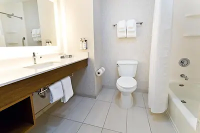 a bathroom with a toilet and a sink and a tub at Holiday Inn Express & Suites Sacramento NE Cal Expo by IHG in Sacramento