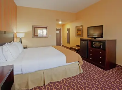 a hotel room with a large bed and a flat screen tv at Holiday Inn Express & Suites Sacramento NE Cal Expo by IHG in Sacramento