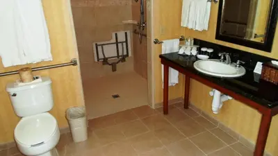 a bathroom with a toilet and a sink at Holiday Inn Express South Lake Tahoe by IHG in South Lake Tahoe