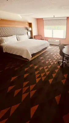 a bedroom with a large bed and a window at Holiday Inn Rancho Cordova - Northeast Sacramento by IHG in Rancho Cordova