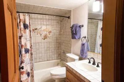 a bathroom with a toilet and a sink and a shower curtain at Four Seasons in Yosemite West