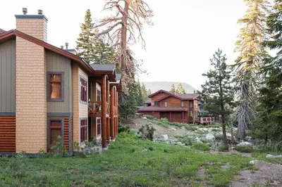 a house in the middle of a forest at Cabins 13 in Old Mammoth