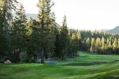 a golf course with pine trees and a green at Cabins 21 in Old Mammoth