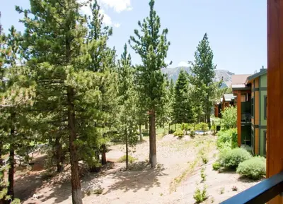 a view from the balcony of a house with trees at Solstice 21 in Mammoth Lakes