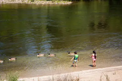 two people standing on the beach watching ducks in the water at Ponderosa Camping Resort One-Bedroom Cabin 4 in Lotus